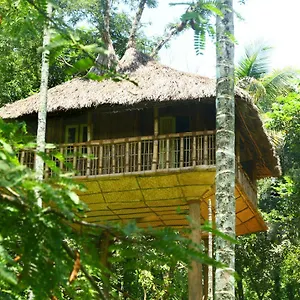kalidasa-tree-house-and-villa.kerala-hotels.net/